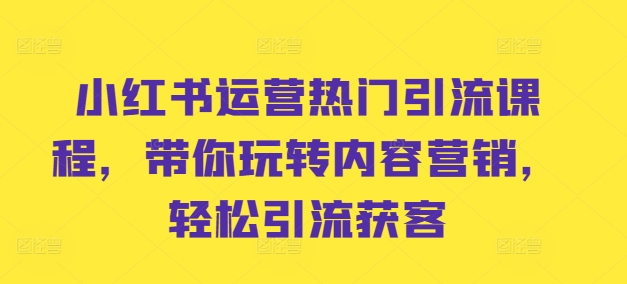 小红书运营热门引流课程，带你玩转内容营销，轻松引流获客-老K资源网