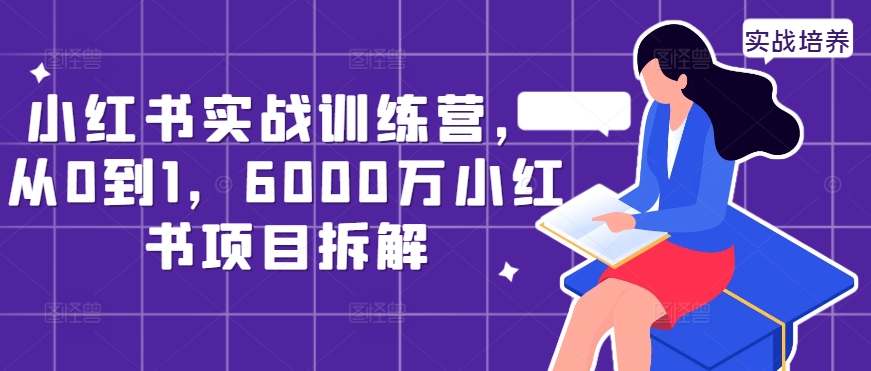 小红书实战训练营，从0到1，6000万小红书项目拆解-老K资源网