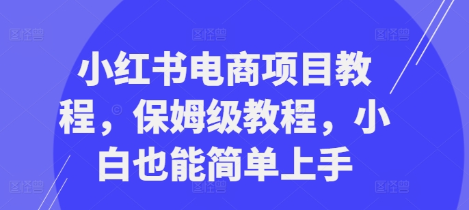 小红书电商项目教程，保姆级教程，小白也能简单上手-老K资源网