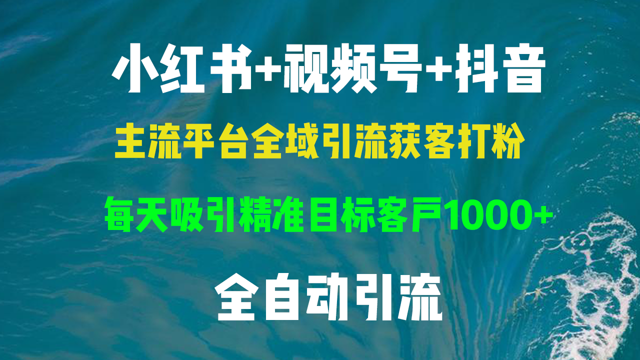小红书，视频号，抖音主流平台全域引流获客打粉，每天吸引精准目标客户…-老K资源网