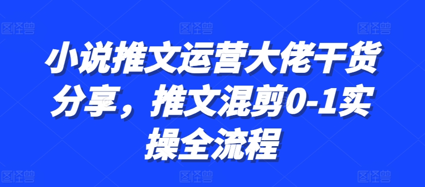 小说推文运营大佬干货分享，推文混剪0-1实操全流程-老K资源网