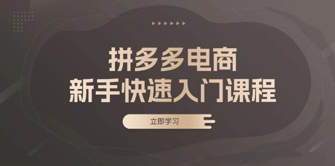 拼多多电商新手快速入门课程：涵盖基础、实战与选款，助力小白轻松上手-老K资源网