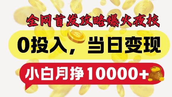 全网首发爆火夜校，0投入，当日变现，小白轻松月入1w+-老K资源网