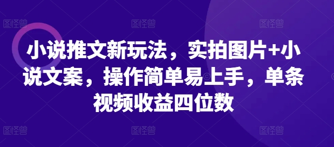 小说推文新玩法，实拍图片+小说文案，操作简单易上手，单条视频收益四位数-老K资源网
