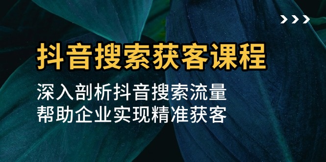 抖音搜索获客课程：深入剖析抖音搜索流量，帮助企业实现精准获客-老K资源网