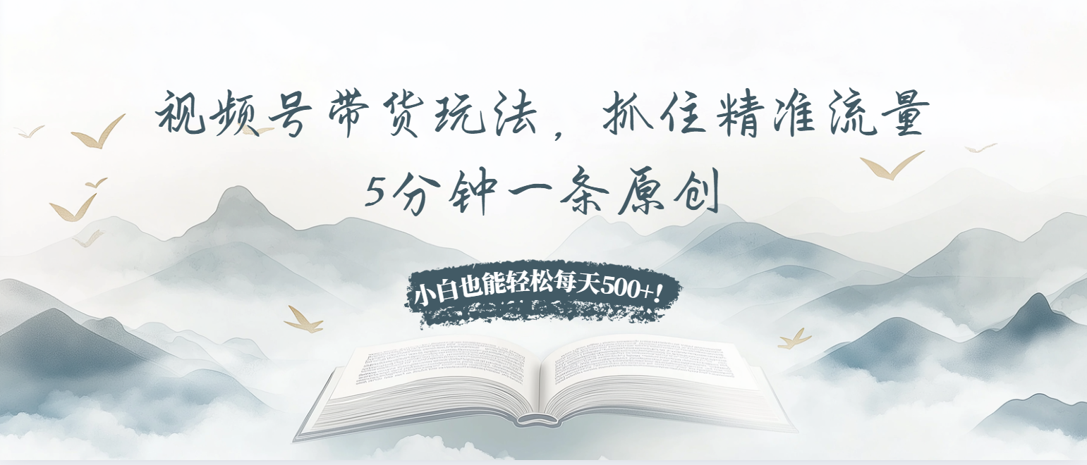 视频号带货玩法，抓住精准流量，5分钟一条原创，小白也能轻松每天500+！-老K资源网