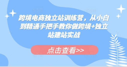 跨境电商独立站训练营，从小白到精通手把手教你做跨境+独立站建站实战-老K资源网