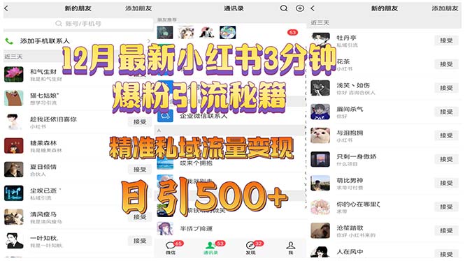 12月最新小红书3分钟爆粉引流秘籍 精准私域流量变现 日引500+-老K资源网