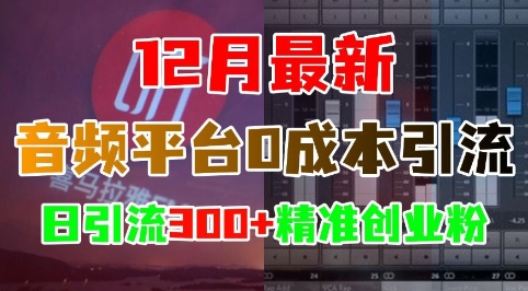 12月最新：音频平台0成本引流，日引流300+精准创业粉-老K资源网
