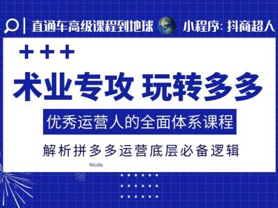 术业专攻玩转多多，优秀运营人的全面体系课程，解析拼多多运营底层必备逻辑-老K资源网