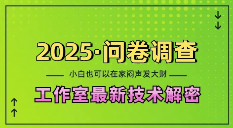 2025问卷调查最新工作室技术解密：一个人在家也可以闷声发大财，小白一天2张，可矩阵放大-老K资源网