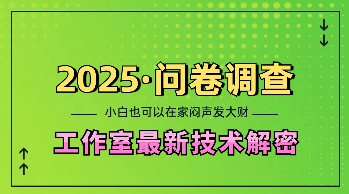 2025《问卷调查》最新工作室技术解密：一个人在家也可以闷声发大财，小白一天200+，可矩阵放大-老K资源网