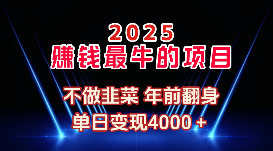 2025年赚钱最牛的项目 不做韭菜 年前翻身-老K资源网
