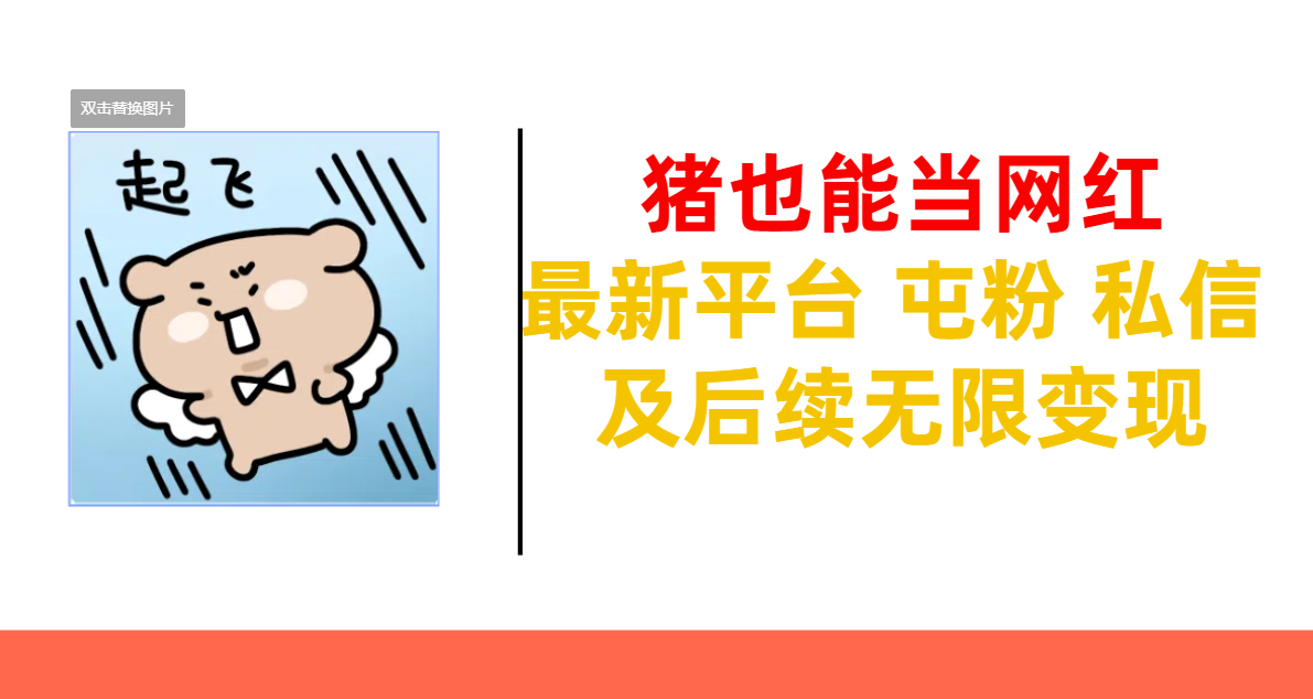 猪也能当网红-最新平台 屯粉 交流 私信 及后续无限变现-老K资源网