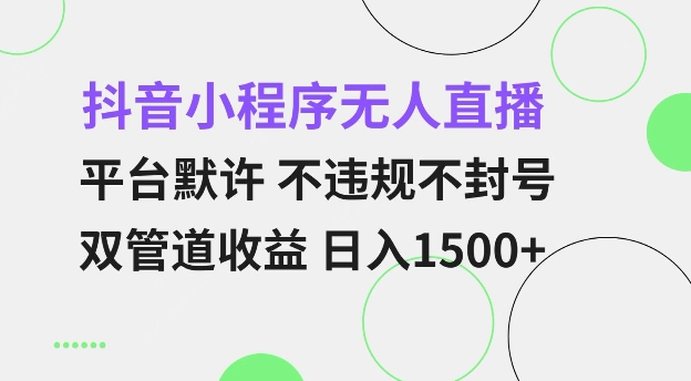 抖音小程序无人直播 平台默许 不违规不封号 双管道收益 日入多张 小白也能轻松操作【仅揭秘】-老K资源网