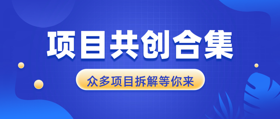 项目共创合集，从0-1全过程拆解，让你迅速找到适合自已的项目-老K资源网