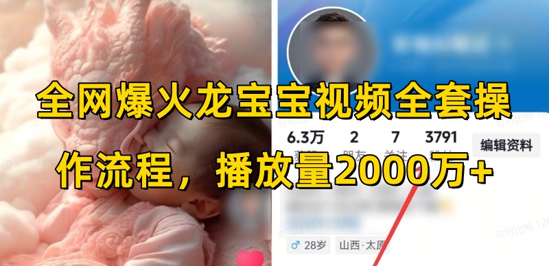 全网爆火龙宝宝视频全套操作流程，播放量2000万+-老K资源网