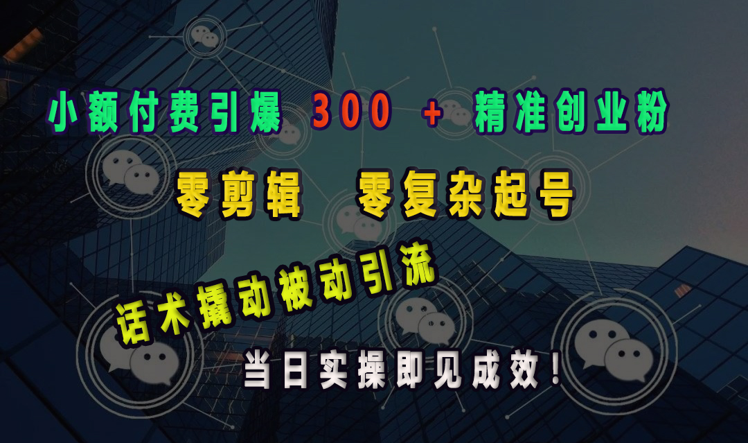 小额付费引爆 300 + 精准创业粉，零剪辑、零复杂起号，话术撬动被动引流，当日实操即见成效！-老K资源网