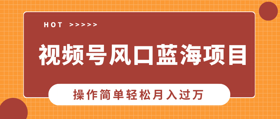 视频号风口蓝海项目，中老年人的流量密码，操作简单轻松月入过万-老K资源网