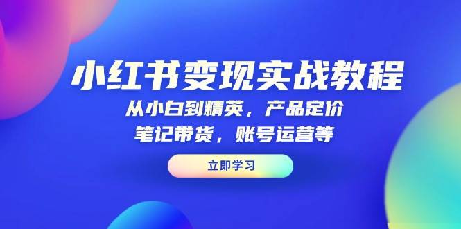 小红书变现实战教程：从小白到精英，产品定价，笔记带货，账号运营等-老K资源网