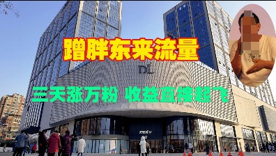 蹭胖东来流量，三天涨万粉，收益直接起飞-老K资源网