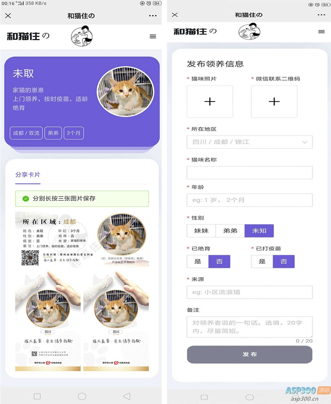 图片[2]-流浪猫流浪狗领养源码-老K资源网