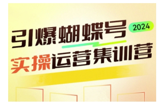 引爆蝴蝶号实操运营，助力你深度掌握蝴蝶号运营，实现高效实操，开启流量变现之路-老K资源网