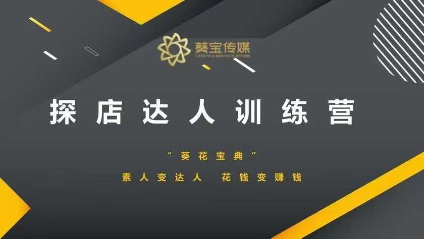 探店达人训练营，素人变达人，花钱变赚钱-老K资源网