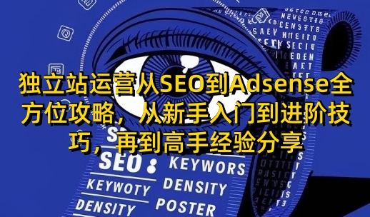 独立站运营从SEO到Adsense全方位攻略，从新手入门到进阶技巧，再到高手经验分享-老K资源网