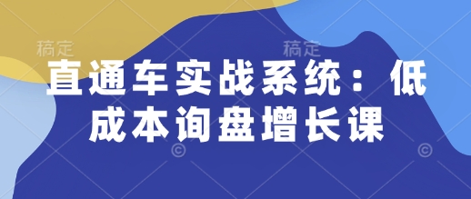 直通车实战系统：低成本询盘增长课，让个人通过技能实现升职加薪，让企业低成本获客，订单源源不断-老K资源网