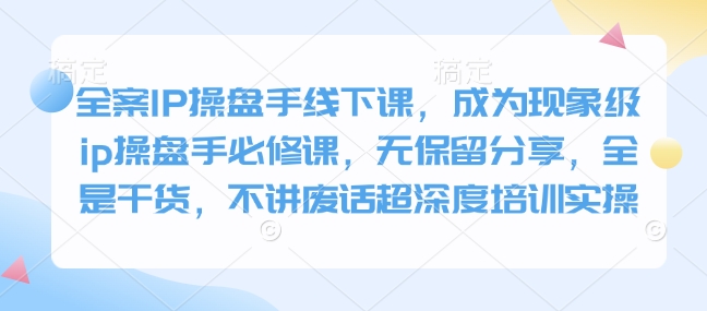 全案IP操盘手线下课，成为现象级ip操盘手必修课，无保留分享，全是干货，不讲废话超深度培训实操-老K资源网