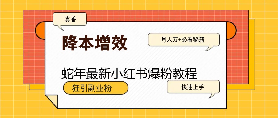 蛇年最新小红书爆粉教程，狂引副业粉，月入万+必看-老K资源网