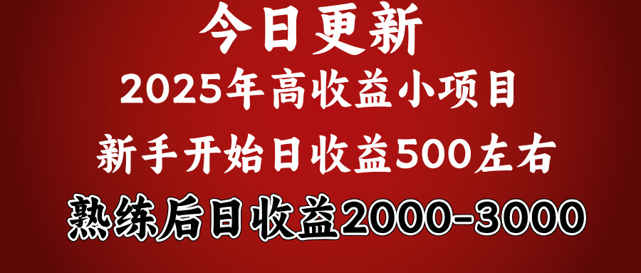 2025开年好项目，新手日收益500+ 熟练掌握后，日收益平均2000多-老K资源网
