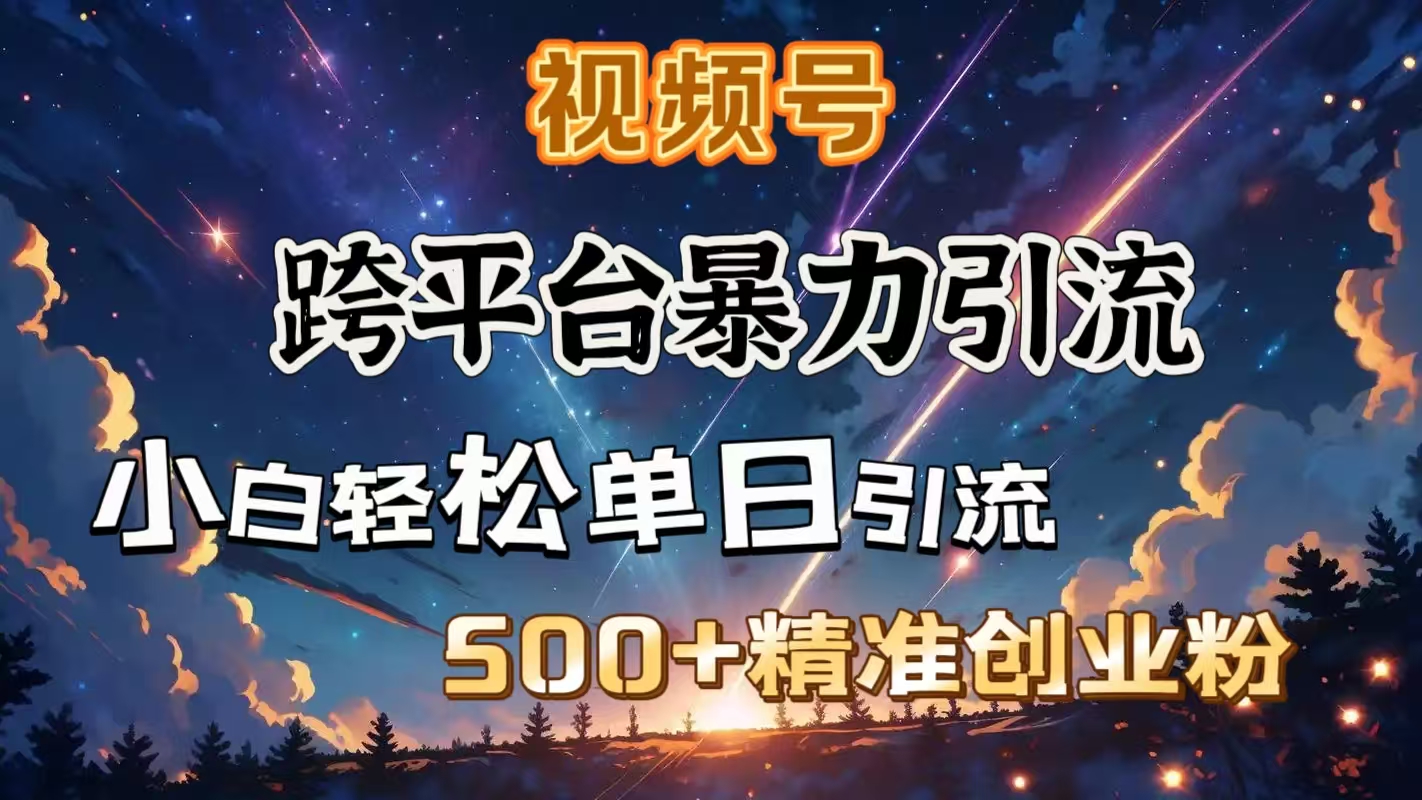 视频号跨平台暴力引流，小白轻松单日引流500＋精准创业粉-老K资源网