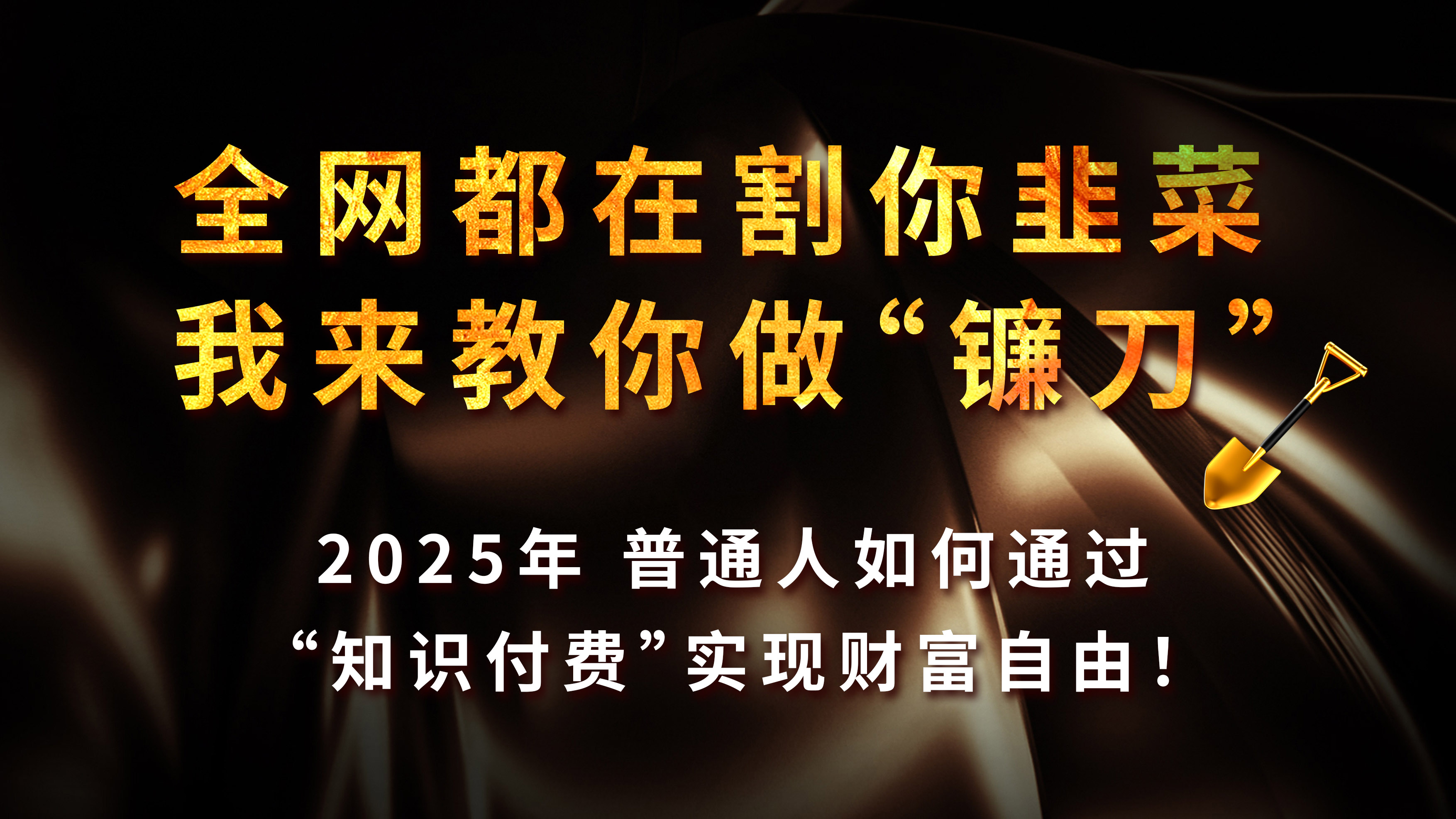 全网都在割你韭菜，我来教你做镰刀，2025年普通人如何通过“知识付费”实现财富自由-老K资源网