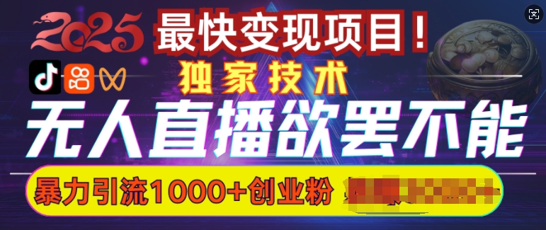 欲罢不能的无人直播引流，超暴力日引流1000+高质量精准创业粉-老K资源网
