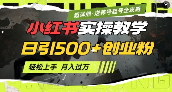 2月小红书最新日引500+创业粉实操教学【超详细】小白轻松上手，月入1W+，附小红书养号起号SOP-老K资源网
