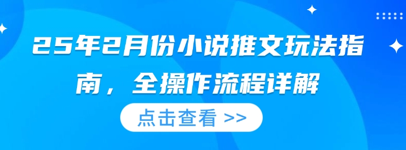 25年2月份小说推文玩法指南，全操作流程详解-老K资源网
