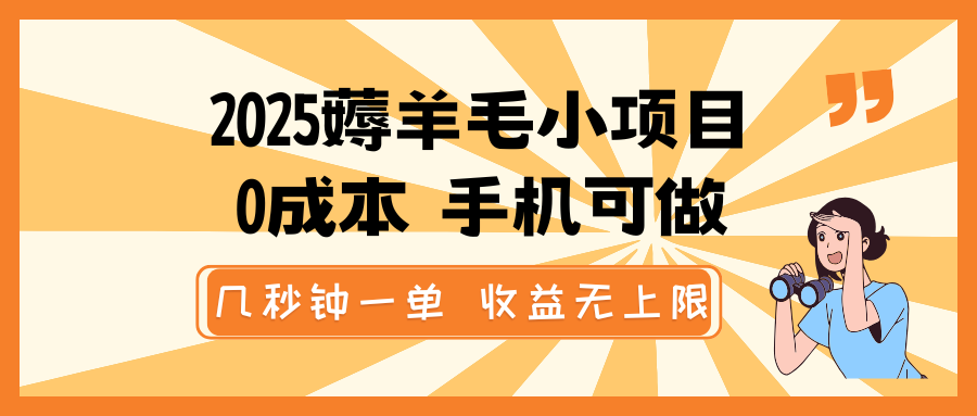 2025薅羊毛小项目，0成本 手机可做，几秒钟一单，收益无上限-老K资源网
