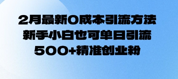 2月最新0成本引流方法，新手小白也可单日引流500+精准创业粉-老K资源网
