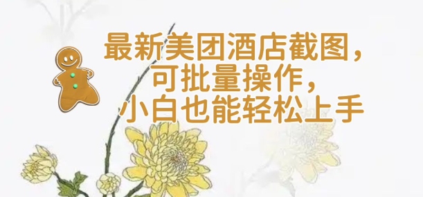 【轻云】最新美团酒店截图，可批量操作，小白也能轻松上手-老K资源网