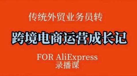 跨境电商速卖通运营课，​运营方法论+后台实操，逻辑清晰-老K资源网