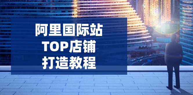 阿里国际站TOP店铺打造教程：涵盖平台到高阶，解决运营难题，提升询盘-老K资源网