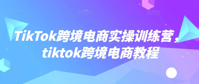 TikTok跨境电商实操训练营，tiktok跨境电商教程-老K资源网