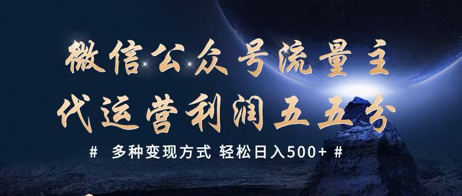公众号流量主代运营  多种变现方式 轻松日入500+-老K资源网