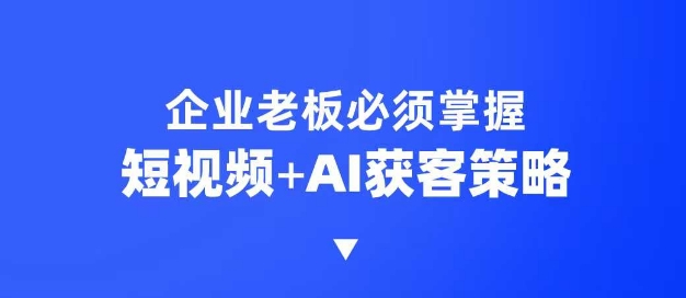企业短视频AI获客霸屏流量课，6步短视频+AI突围法，3大霸屏抢客策略-老K资源网
