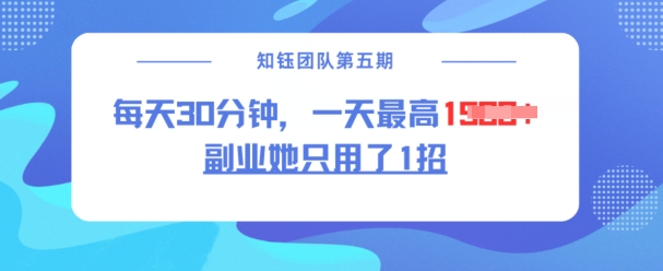 副业她只用了1招，每天30分钟，无脑二创，一天最高1.5k-老K资源网