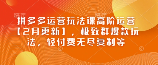 拼多多运营玩法课高阶运营【2月更新】，极致群爆款玩法，轻付费无尽复制等-老K资源网