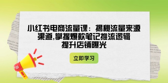 小红书电商流量课：揭秘流量来源渠道,掌握爆款笔记推流逻辑,提升店铺曝光-老K资源网