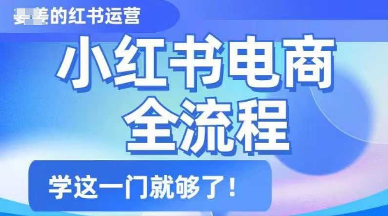 小红书电商全流程，精简易懂，从入门到精通，学这一门就够了-老K资源网